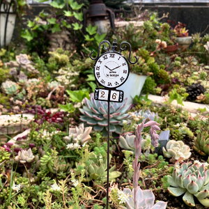 I[WsbN zCg(5E3810) K[fsbN/I[ig/ANZT[/K[fjO/G/ObY/Mtg/sbN/Jg[G///v^[sbN/킢/GNXe