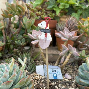 XRbvƌ̃sbN A~XRbvhbOsbN (5E3520) ؐ/sbN/Aؔ/K[fjO/CeA//FV/Mtg/ϗtA/WNK[f/gK[f