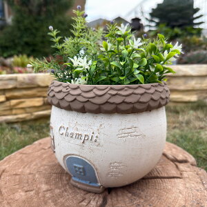 丸い家型のプランター シャンピサークルMBR(TH205) ブラウン セメント/プランター/植木鉢/ガーデニング/インテリア/おしゃれ/友膳/ギフト/観葉植物/ジャンクガーデン/穴あり