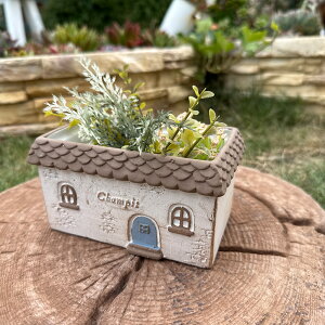 lpƌ^v^[ VsChSBR uE (TH206) Zg/v^[/Aؔ/K[fjO/CeA//FV/Mtg/ϗtA/WNK[f/