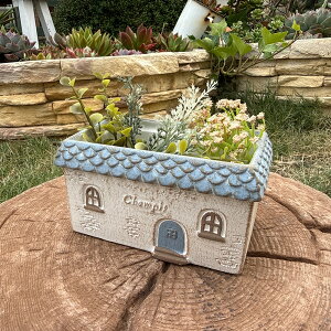 [Gg[Ń|Cg10{ 11/20 20`]lpƌ^v^[ VsChSBL u[ (TH194) Zg/v^[/Aؔ/K[fjO/CeA//FV/Mtg/ϗtA/WN