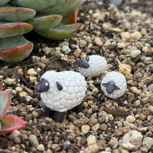 r̐eq̃~j`A V[vt@~[3_Zbg i5E1320j u/W/v^[/Aؔ/K[fjO/CeA//FV/Mtg/ϗtA/WNK[f/CeA/e