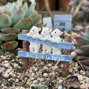 3C̎qMsbN uWVF[usbN (5E4311) sbN/u/W/v^[sbN/Aؔ/K[fjO/CeA//FV/Mtg/ϗtA/WNK[f/CeA