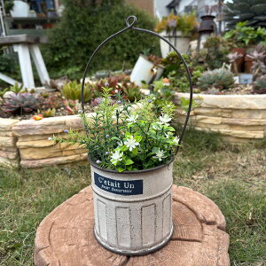 uL nMOv^[ ZeBAnOW zCg(UN2300) Ǌ|/݂艺/uL/v^[/Aؔ/K[fjO/CeA//FV/Mtg/ϗtA/WNK[f/C