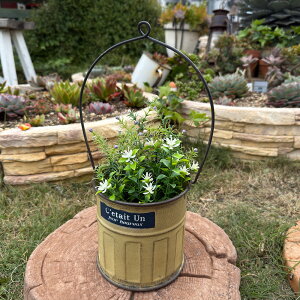 uL nMOv^[ ZeBAnOY CG[(UN2301) Ǌ|/݂艺/uL/v^[/Aؔ/K[fjO/CeA//FV/Mtg/ϗtA/WNK[f/C