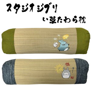 [Gg[Ń|Cg10{ 10/24 20`]X^WIWu  U(40×40cm) Iׂ2 {/Mtg/v[g/G/ObY/a/O//ƂȂ̃gg/킢/zc/V[g}