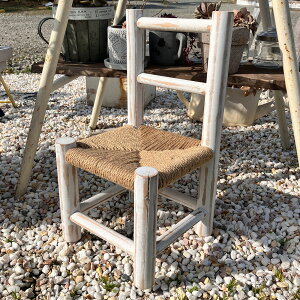 IE`FA@(EC-202-WHjzCg Jg[G/ԑ/i`G/CX/֎q/Lb`//Mtg/v[g/t[X^h/K[fjO/