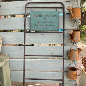 x[[sbNBLu[(UN2316) /O/Ǌ|/rO//sbN/eBv[g/K[fjO/WNK[f/Jg[G/v[g/Mtg/AeB[N/uL