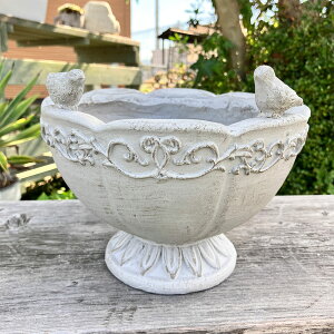 Jbv^v^[ I][|JbvSGY O[(GF4999) /ꌊ//O/K[fjO/Aؔ/WNK[f/A//񂹐A/ϗpA/Jg[G/v[g/Mt