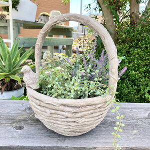 AeB[NoXPbgv^[ jh][oXPbgAW zCg (GF7109) ////O/K[fjO/Aؔ/WNK[f/A//񂹐A/ϗpA/J