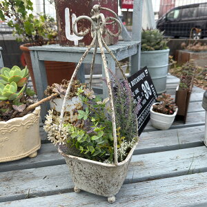 [Gg[Ń|Cg5{ 11/4 20`]uL nOXNGA|bg GY O[(UF534) ݂艺/uL/v^[/Aؔ/K[fjO/CeA//FV/Mtg/ϗtA/WNK[