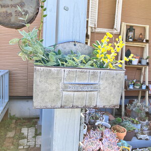 nMOuLv^[A|^WFnOGY O[(MH1737) Vo[/݂艺/Ǌ|//O/K[fjO/Aؔ/WNK[f/A//񂹐A/ϗpA/Jg[