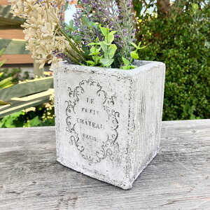 [Gg[Ń|Cg10{ 10/24 20`]{[p|bgS(TG815) zCg/|bg/v^[(ꌊ)//O/K[fjO/Aؔ/WNK[f/A//񂹐A/ϗpA/J