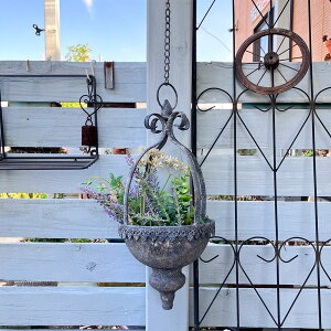 [Gg[Ń|Cg5{ 11/4 20`]AeB[NnMOuLv^[ (a15.8cm) Jbv|bgnODGY (UF541j_[NO[/݂艺/Ǌ|/uLv^[//O/