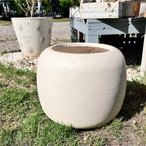 Vvȉv^[ [EhMW zCg(G1065) //OXt@Co[/v^[/K[fjO/񂹐A//A/T{e/ϗtA/Jg[G/v[