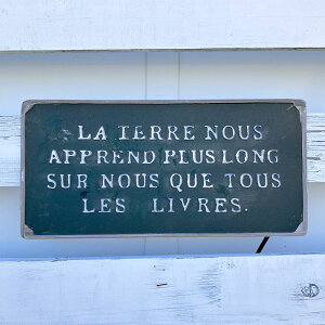 e[v[gDBL _[Nu[ (UN2336juLv[g/CeA/GNXeA/{[h/Ǌ|//G/ObY/K[fv[g/K[fjO/Mtg/v[g/Jg[G/