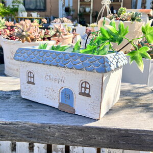 nEX`[tv^[ VsChMBL u[ (TH195) ꌊ/Zg/v^[/Aؔ/K[fjO/GNXeA/CeA//FV/Mtg/ϗtA/WNK[f