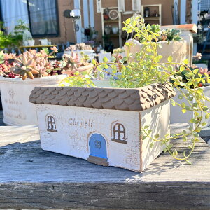 nEX`[tv^[ VsChMBR uE (TH207) ꌊ/Zg/v^[/Aؔ/K[fjO/GNXeA/CeA//FV/Mtg/ϗtA/WNK[f