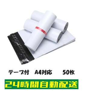 rj[ z A4 p2 p3Ή 50 zrj[ V[e[vt NbN|Xg 䂤pPbg F Ȃ Ȃ h 25cm×39cm 50 F