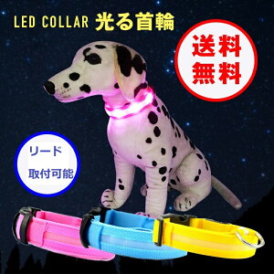  p dr LED ybgp ̌̎US ^ ^ ^OKI