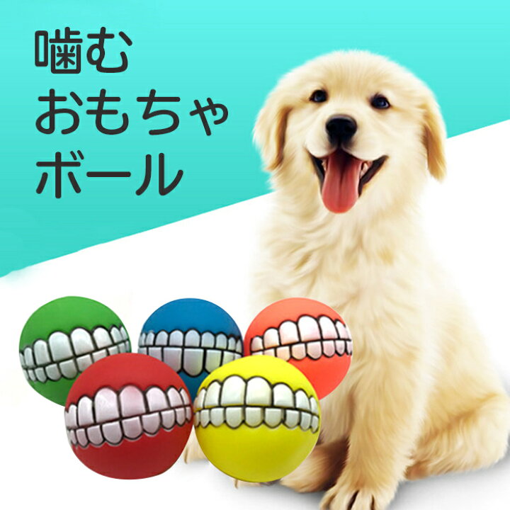 楽天市場 犬用ボール おもちゃ インスタ 写真映え 音が鳴る 面白い プレゼント Grepo 楽天市場店