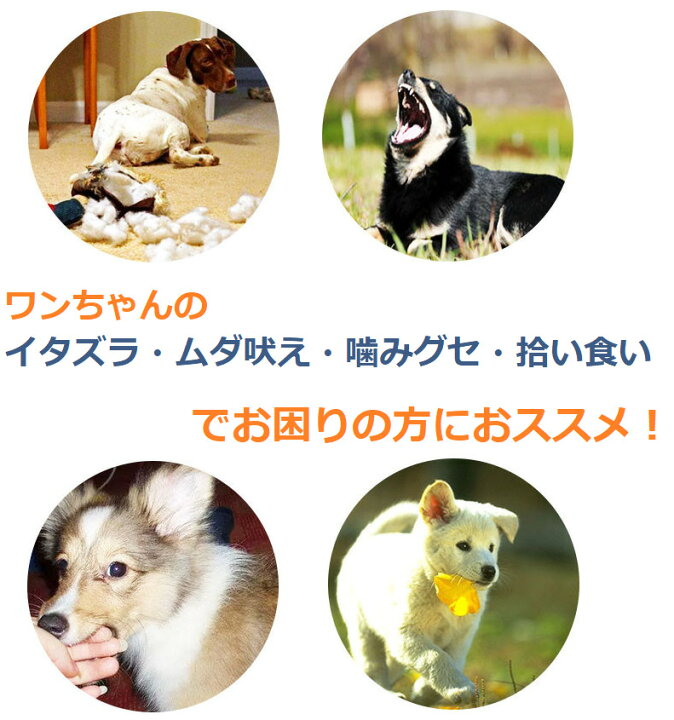 楽天市場 犬 無駄吠え防止 犬用 口輪 マズル 犬のしつけ 拾い食い防止 噛み トレーニング アヒル あひる口 口輪に見えない 可愛い 小型犬 中型犬 大型犬 Grepo 楽天市場店
