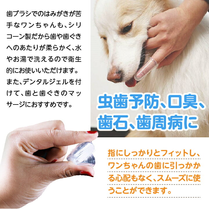 楽天市場 犬 歯ブラシ ２個セット ペット 口腔ケア 犬用歯ブラシ 犬 いぬ 猫 ねこ ソフトブラシ やわらかい 歯磨き ペット用歯ブラシ 指サック Grepo 楽天市場店