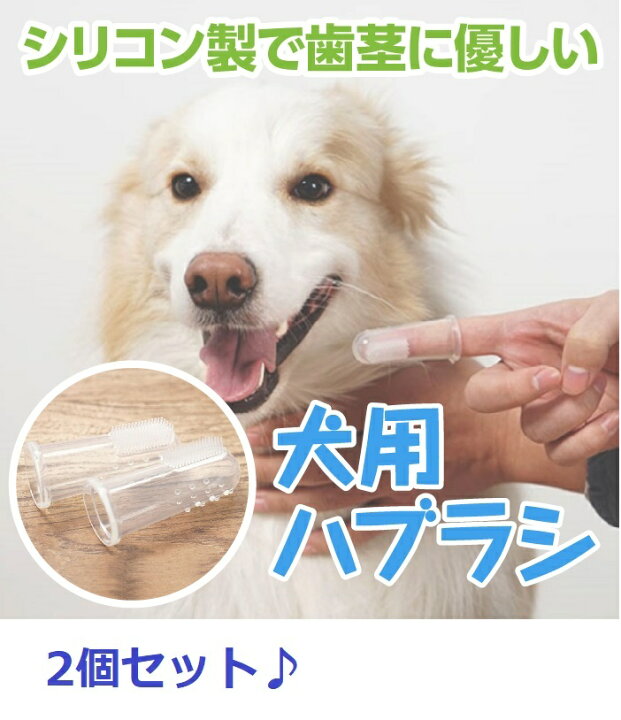 楽天市場】光る首輪 犬用 防水 ペンダント 電池式 LED ペット用 夜の犬の散歩や雨のお散歩を安全に 大型犬から小型犬もOK : grepo 楽天市場店 楽天市場】光る首輪 犬用 防水 ペンダント 電池式 LED ペット用 夜の犬の散歩や雨のお散歩を安全に 大型犬から小型犬もOK : grepo 楽天市場店