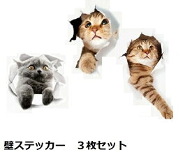 楽天市場 子猫 壁紙の通販
