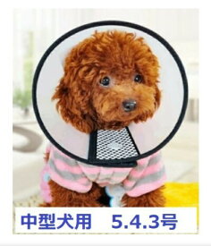 エリザベスカラー 半透明 中型犬 大型犬 5号 4号 3号 ソフト 手術後 犬 猫 マジックテープ式 ペット 軽量 柔らかい やわらか 皮膚保護