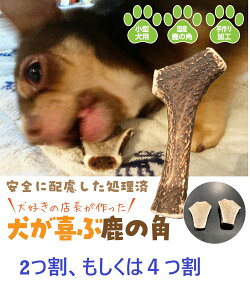 ̊p     2 4 VR Y  K  f^ Y ^ tuno