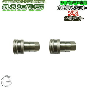 GRESS VxA R}1 p i z[XpJv \Pbg X GRS-EMV[YΉ Vx