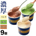 【ポイント3倍 最短当日出荷】 アイスクリーム アイス ギフト 詰め合わせ セット 9個 選べる3種 プレゼント 送料無料 スイーツ グレーテル 菓子店 濃厚 バニラ 国産 抹茶 チョコレート お取り寄せ 誕生日 贈り物