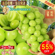 【55％OFFで3455円～ スーパーSALE限定】【2026年分予約販売開始】 シャインマスカット 山梨産 約1kg～5k…