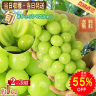 【2026年分予約販売開始】 シャインマスカット 山梨産 約1.0kg 2～3房 送料無料 クール便 常温便 マスカ…