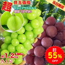 【55%OFFで3815円～ スーパーSALE限定】【2026年予約販売開始】シャインマスカット 涼香 すずか 2種セット 2種盛り合…