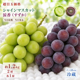 シャインマスカット 涼香 すずか ギフト 2種セット 2種盛り合わせ 計1.2kg マスカット ブドウ 葡萄 フルーツ 果物 くだもの 食べ比べ 詰め合わせ 人気 美味しい 山梨県 敬老の日