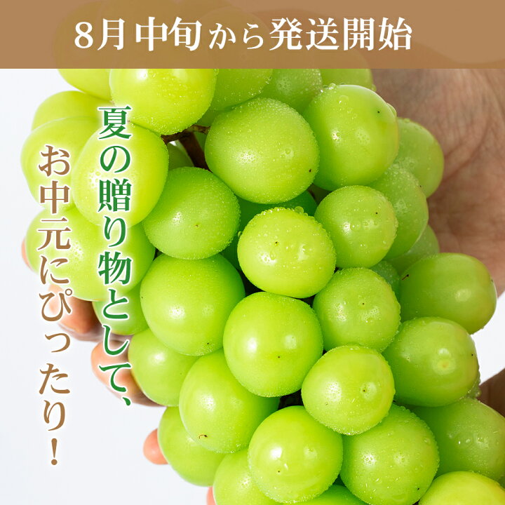 楽天市場】【予約販売開始】【2024年8月中旬より順次発送】 クール便 