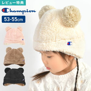 LbY jbgX ܎ {A  `sI champion 킢 ||  ܂ŉB q qǂ  ʉ ʊw  w uE ubN AC{[ sN   53