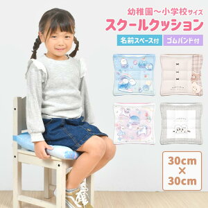zc ct wZ NbV 30×30cm sN p[v F ֎qp ԂƂ  킢 ̎q q LbY XN[NbV 􂦂 St wZp w ۈ牀 TCY j