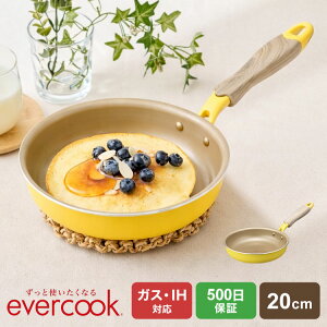 evercook �G�o�[�N�b�N �t���C�p�� 20cm IH �h�E�V�V�� DOSHISHA EIFP20MYE �K�X�Ή� �I�[���M���Ή� 500���ۏ� ���т���ɂ��� �ł��t���ɂ��� ������ �������ȒP ������� �� ������ �I�����c ��