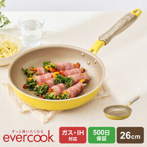 evercook �G�o�[�N�b�N �t���C�p�� 26cm IH �h�E�V�V�� DOSHISHA EIFP26MYE �K�X�Ή� �I�[���M���Ή� 500���ۏ� ���т���ɂ��� �ł��t���ɂ��� ������ �������ȒP ������� �� �傫�� �I�����c ��