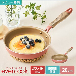 yTztCp 20cm evercook Go[NbN IH Ic KXΉ EIFP20MPK ~XeBsN hEVV DOSHISHA 500ۏ  Ȃ  I[MΉ 킢  тɂ