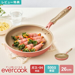 yTztCp 26cm evercook Go[NbN IHΉ KXΉ EIFP26MPK ~XeBsN hEVV DOSHISHA 500ۏ  I[MΉ тɂ  ȒP łt
