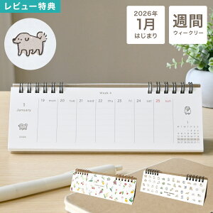 J_[ 2026  EB[N[ T߂ T jn܂ 1n܂ O ~j  RpNg X matoka }gJ CAL-164 CAL-165  t[ Aj}  L   {  