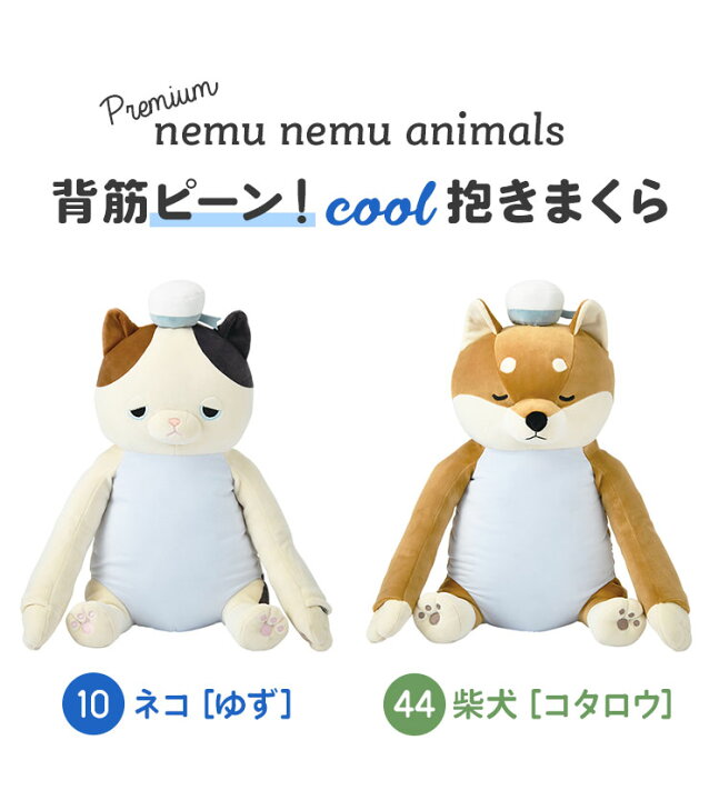 楽天市場 背筋ピーン抱きまくら ぬいぐるみ 背筋が伸びる 接触冷感 クール 冷たい 洗える ねむねむアニマルズ 姿勢矯正 デスクワーク 仕事 抱き枕 リラワーク アニマル 猫 コタロウ ねこ 犬 ユズ ゆず かわいい Cool 背もたれ 猫背矯正 姿勢 サポート ホワイトデー