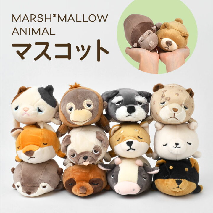 楽天市場】【5日限定P3倍】マスコット ぬいぐるみ ねむねむアニマルズ  