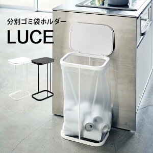45l ダストボックス 白 ゴミ箱 ごみ箱 通販 価格比較 価格 Com