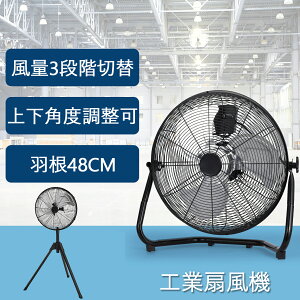 |Cg5{ yV1 H ^ 45cm 48cm tA^ U HƗp@ u C ʂ HƐ@ H@ Ɩp ^@ A~@ T[L[^[ @   Ɩ
