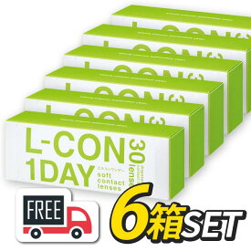 【送料無料】エルコンワンデー 6箱セット（1箱30枚入）シンシア l-con lcon 1day コンタクトレンズ 1日使い捨て